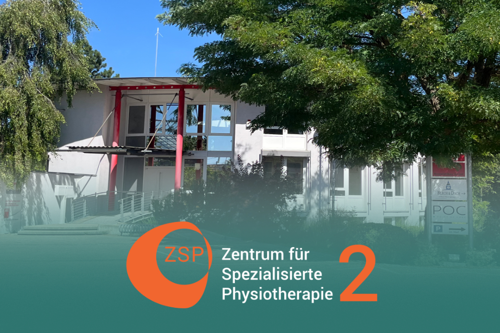 Physiotherapeut behandelt eine Bandscheibenverletzung mit gezielten Griffen in einer modernen Praxis.